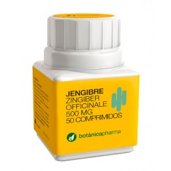 JENGIBRE 500 MG 50 COMP BOTANICA